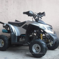 50cc-125cc ATV Quads com Suspensão Forte (JY-110-ATV07)